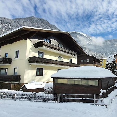 Apartmenthaus Erna 巴特霍夫加施泰因 外观 照片