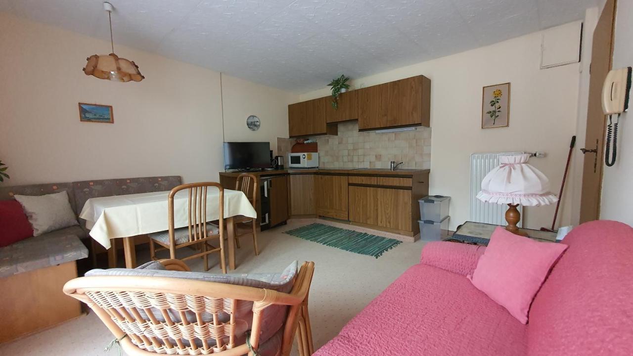 Apartmenthaus Erna 巴特霍夫加施泰因 外观 照片