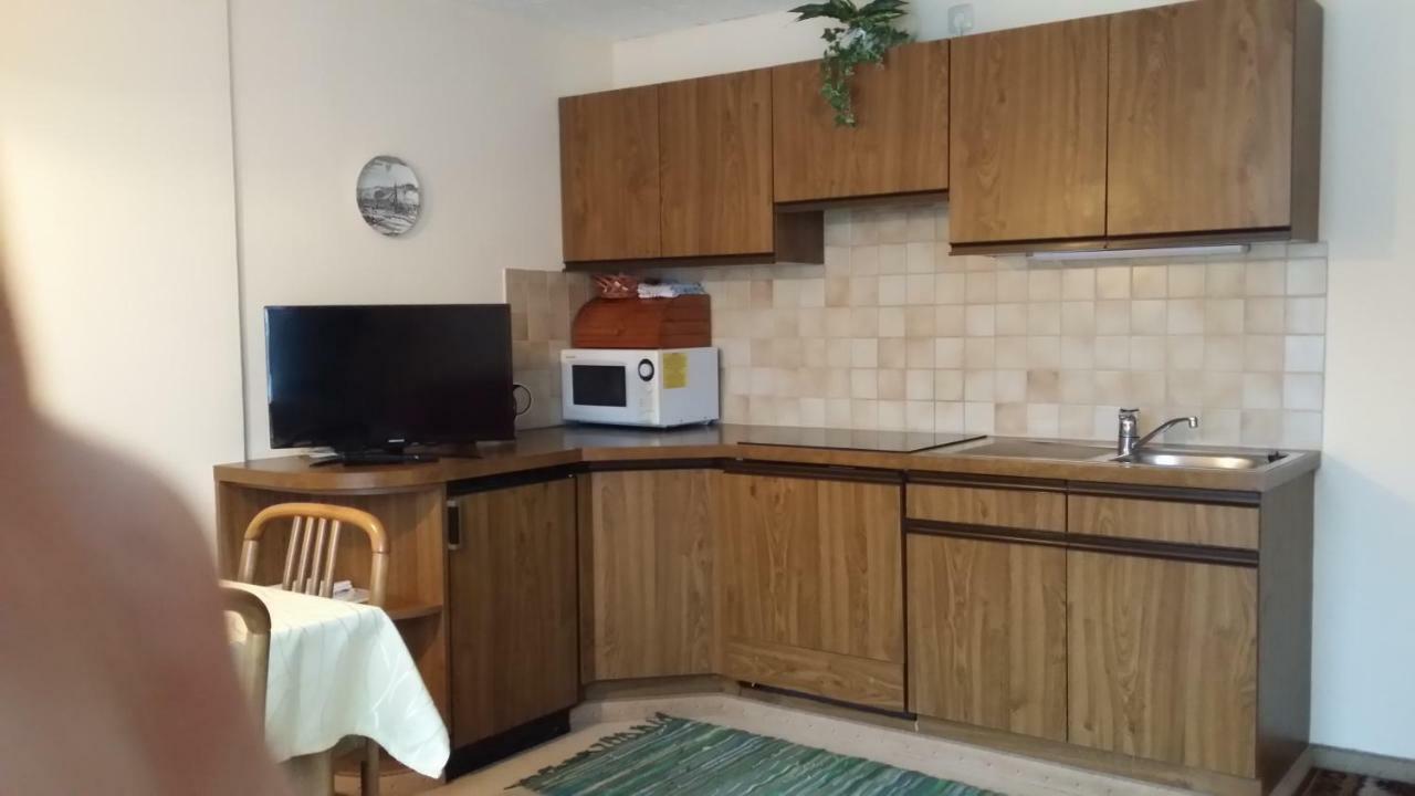 Apartmenthaus Erna 巴特霍夫加施泰因 外观 照片