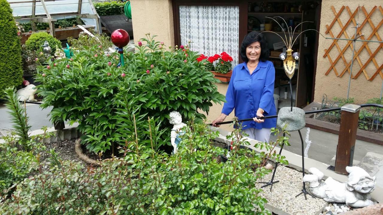 Apartmenthaus Erna 巴特霍夫加施泰因 外观 照片